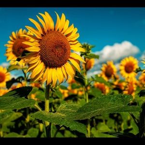 Meet your Posher, Kylie